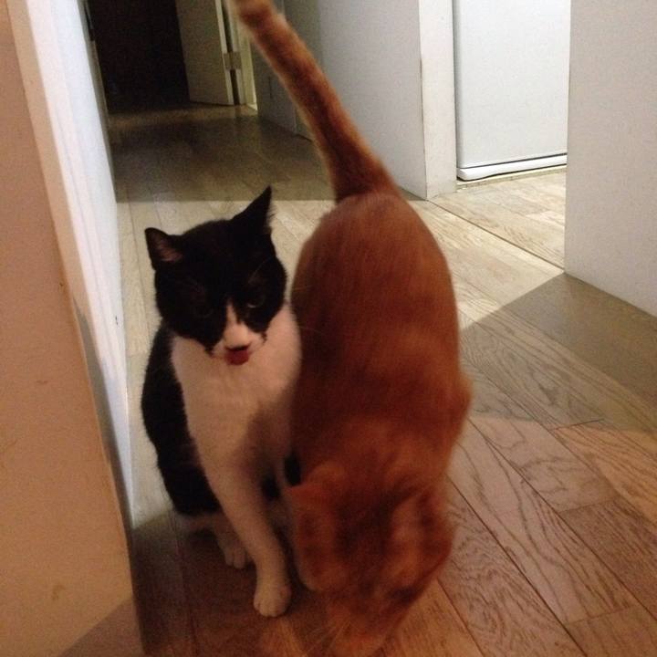 7eaa2230 2adc 424c 9de9 94bc80d8c2cc