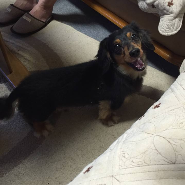 7eaa280e 9b00 469b 9fa0 eaf53c58804c