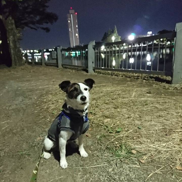 7eab8b5c d57f 4c6f 8b7b 50bb710b40a4