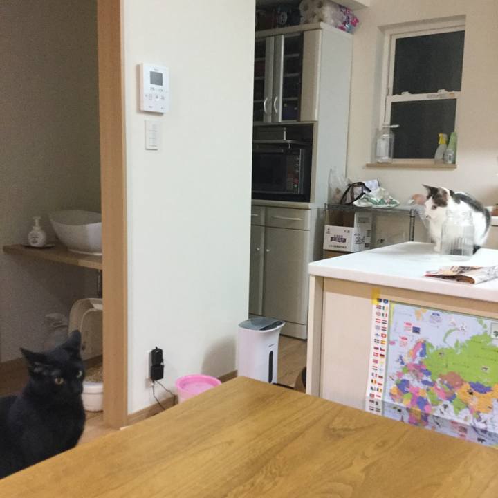 7eac590c fe25 4262 a128 9de76048dffd