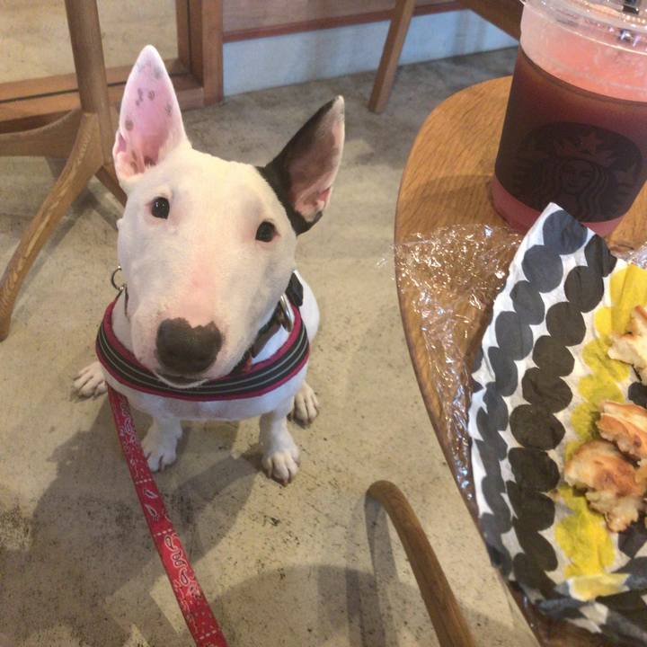 7eacbb41 bed3 4667 980a 3687d6a57641