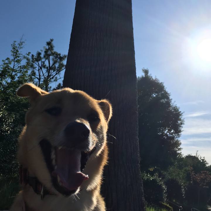 7ead3b60 060b 4daa 9853 3b86c87ece25