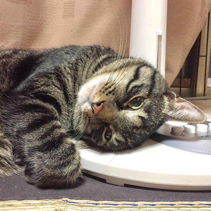 7ead4a92 53ce 448d ab8b 9799f7432cbb