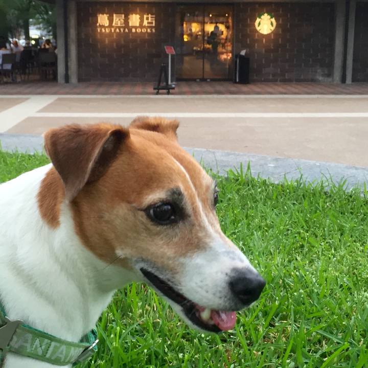 7ead8c2f 0abd 4e21 b5b8 518ae60a17d5