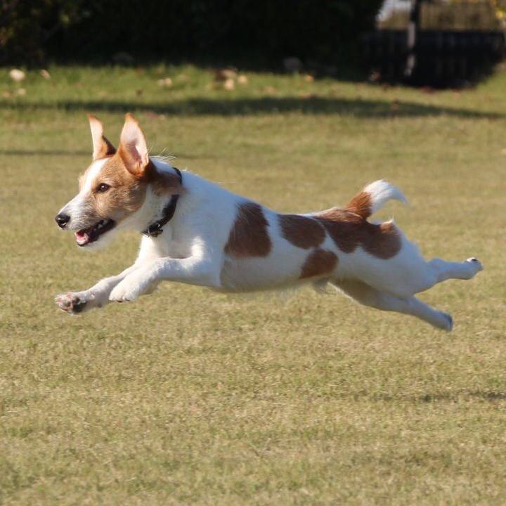 7eadfa43 d34a 4a19 8667 069a0384ee8b