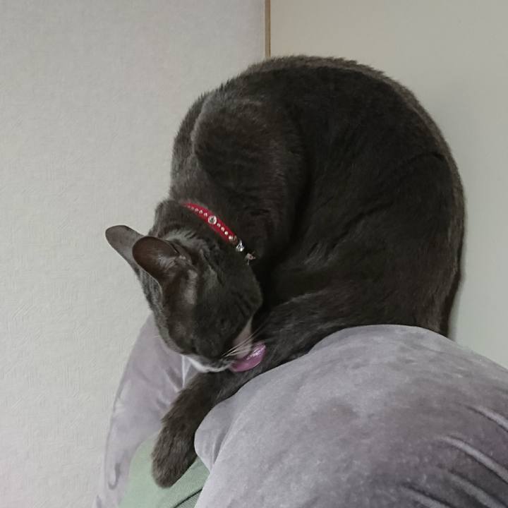 7eae0dd0 08dc 4be2 ad90 2f3a0d21695a