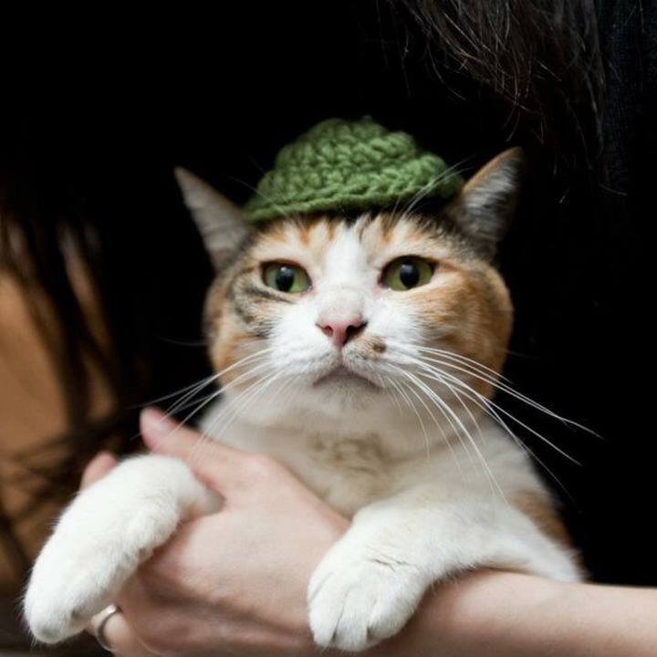 7eae1f90 ca92 49c4 a0a3 80209bea467e