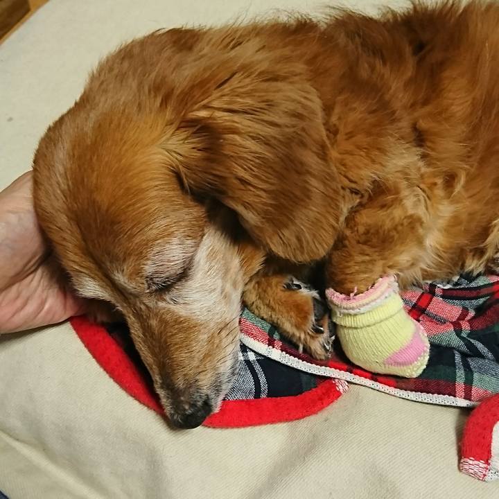 7eaeb543 2ef6 4dcd 9062 99ef08c9df50