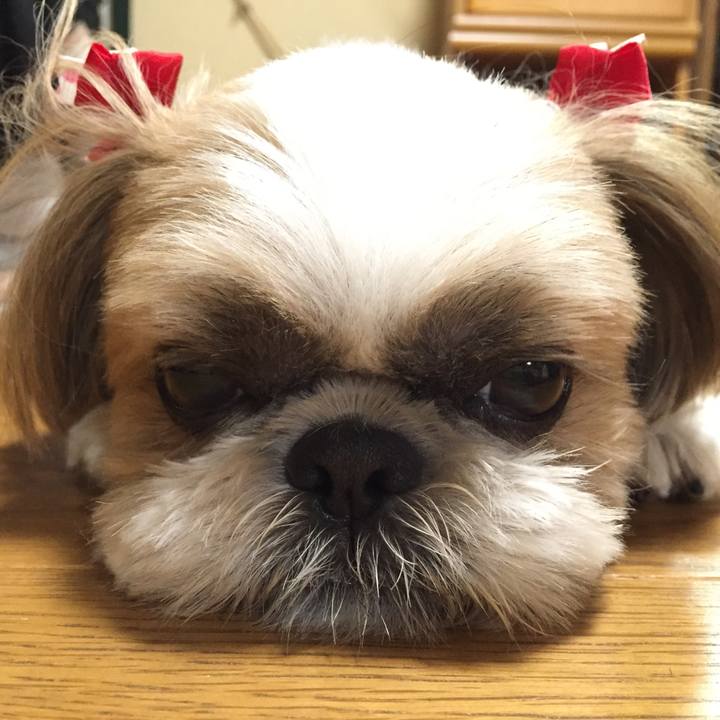 7eaebe62 d7ca 446c 9257 b18c27554e73