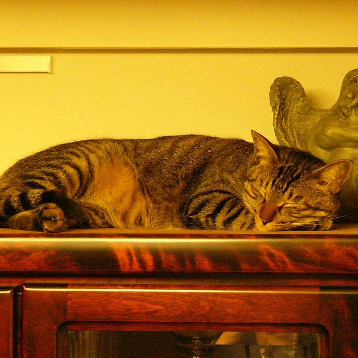 7eaee7cc 31ae 4a6b 8b7e 294c40e2c99c