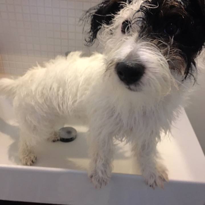 7eaf39a7 70b7 4ccb 84fa ffe80c3efed9