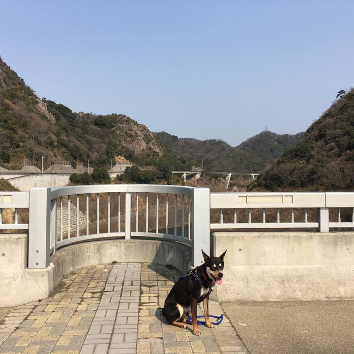 7eaf6455 03fe 418a 82cd 3df27b868325