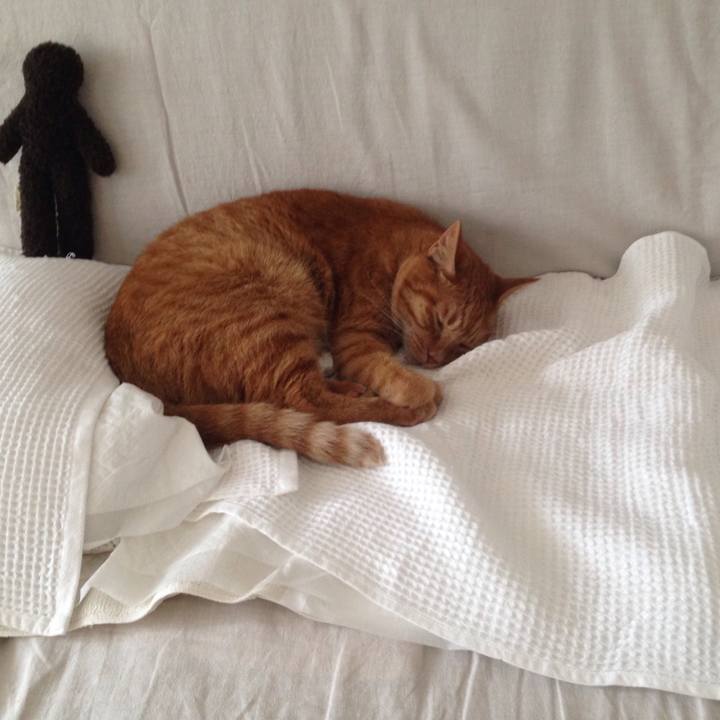 7eb05665 0d2e 46d0 8c8b 9615b227896f