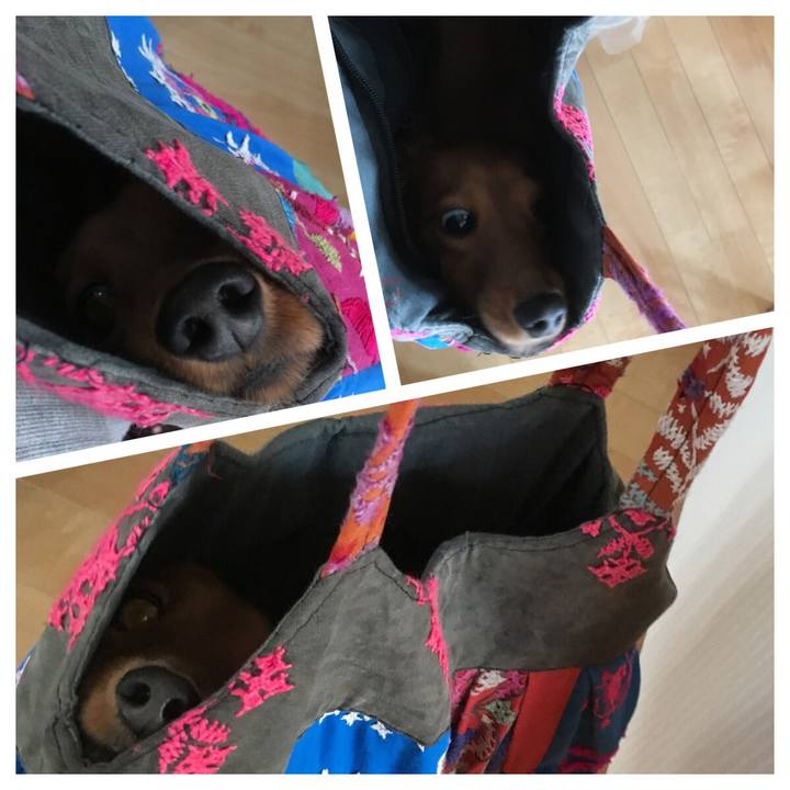 7eb0f5cb b1e4 45a1 a03e 8e68ed3cfb2c