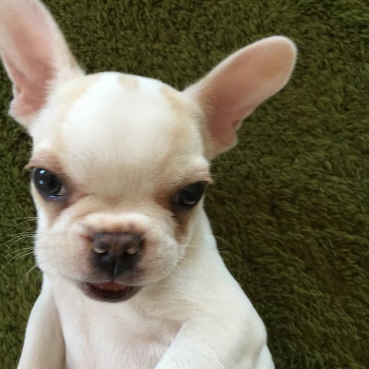 7eb18762 b57b 4f66 8e4d ad05e1ff1315