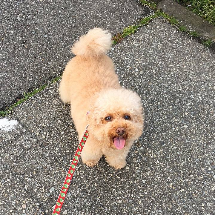 7eb1f7ca f554 4de8 8c0d 2094042e48f0