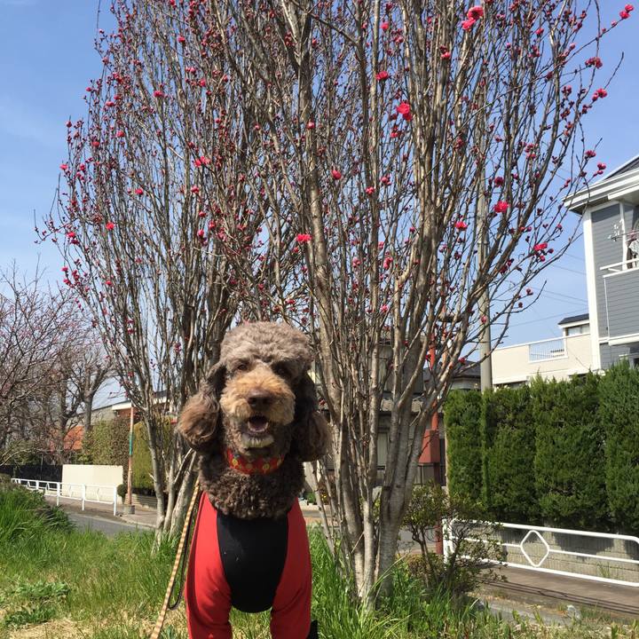 7eb22680 2367 4655 9299 33296cc90dc8