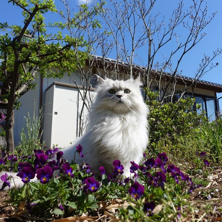 7eb3026a 8d5d 4c13 a856 d6f5df7ff0c0