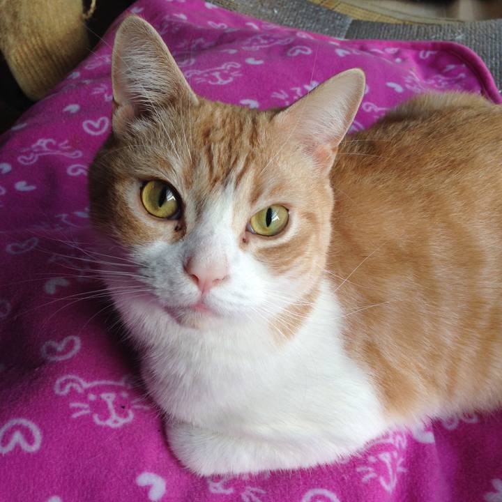 7eb3a59c 8633 43d1 a8b3 9c6ad73e5439