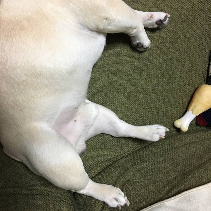 7eb3c39b 1c89 4288 834d 3f4026e48b83