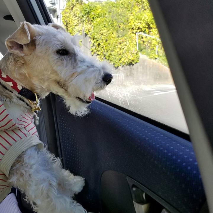 7eb4d97a bdad 4e13 8d31 af4a4e8fb483