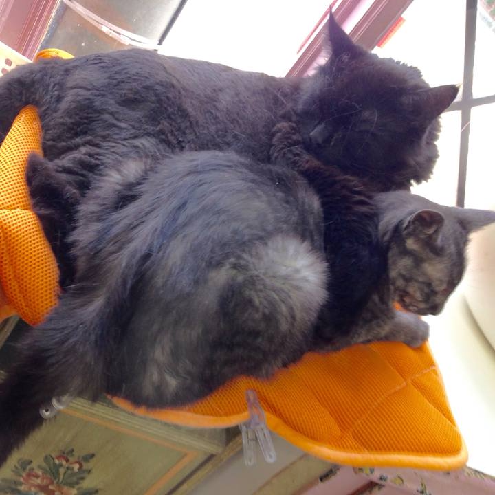 7eb520f8 c95a 4005 ae63 cfc8ccd3d8e4