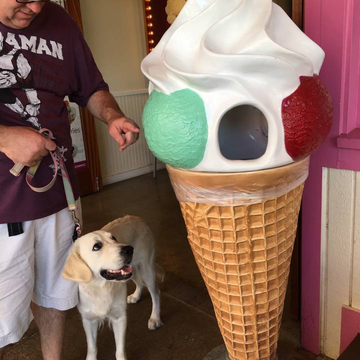 7eb54142 dcba 48f0 a156 907a01651d01