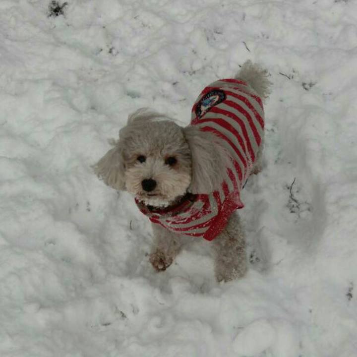 7eb5be72 63c0 46e7 a7e7 5327376a29c1