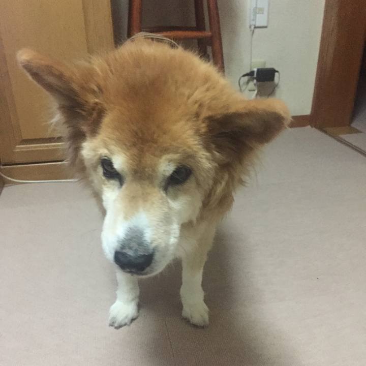 7eb5c0e8 23ec 4e73 a816 93f27ee45762