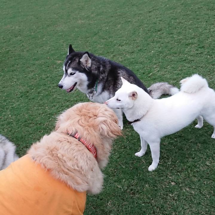 7eb5e49c bbde 4547 a172 6c39e724452a