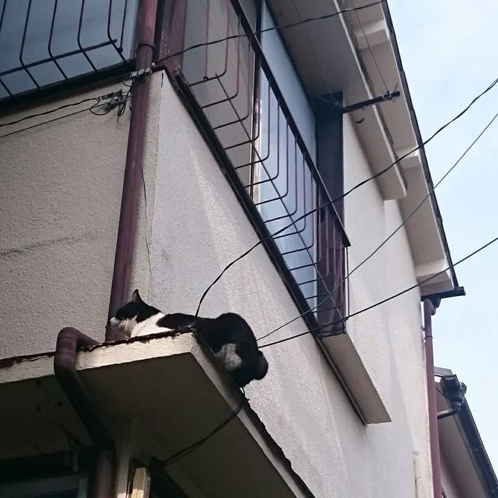 7eb602c4 aea2 4294 baab c6ede0dbd92f