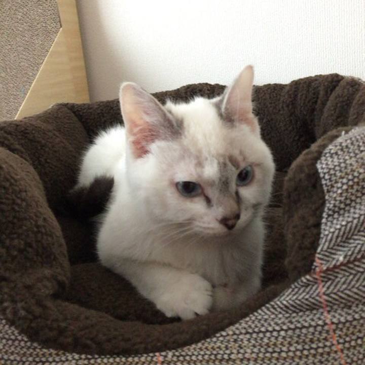 7eb642d9 0a17 4e94 a7d9 61281442f201