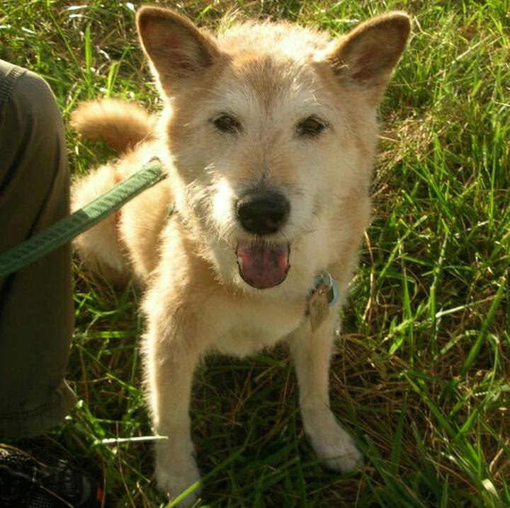 7eb6aff5 bbee 4323 b41c 5a330e6d9bf3