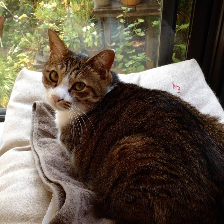 7eb6e7f0 d017 4c3c 8d0d 214b4be01c40