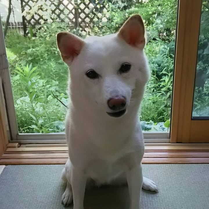 7eb720ec 8868 4720 bcbd 74a6653456a7