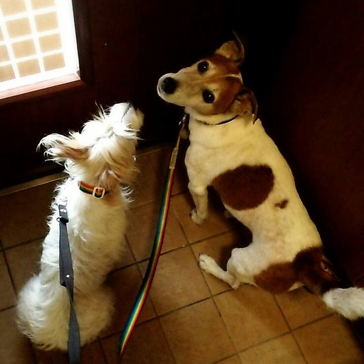 7eb77fc7 c747 4485 99ae b21e51d72c22