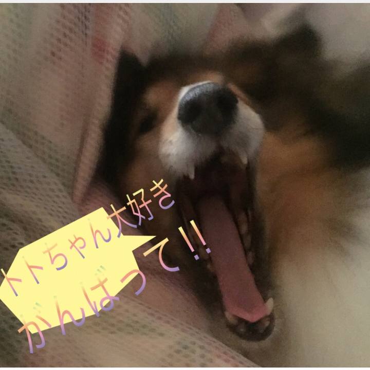 7eb7bfca e8e8 4811 a065 5e1033997d56