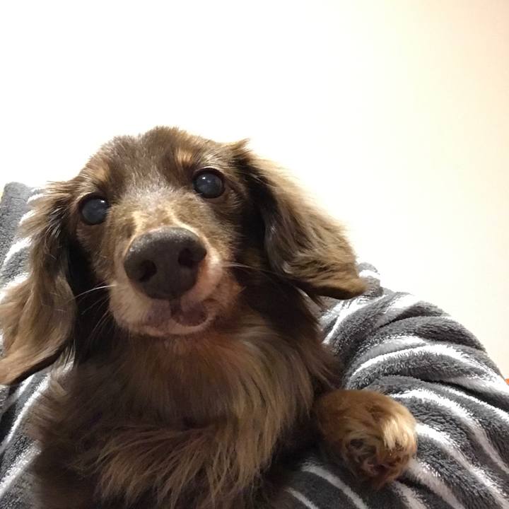 7eb7c04a 1f95 4dd3 8a8c 42515b63026d