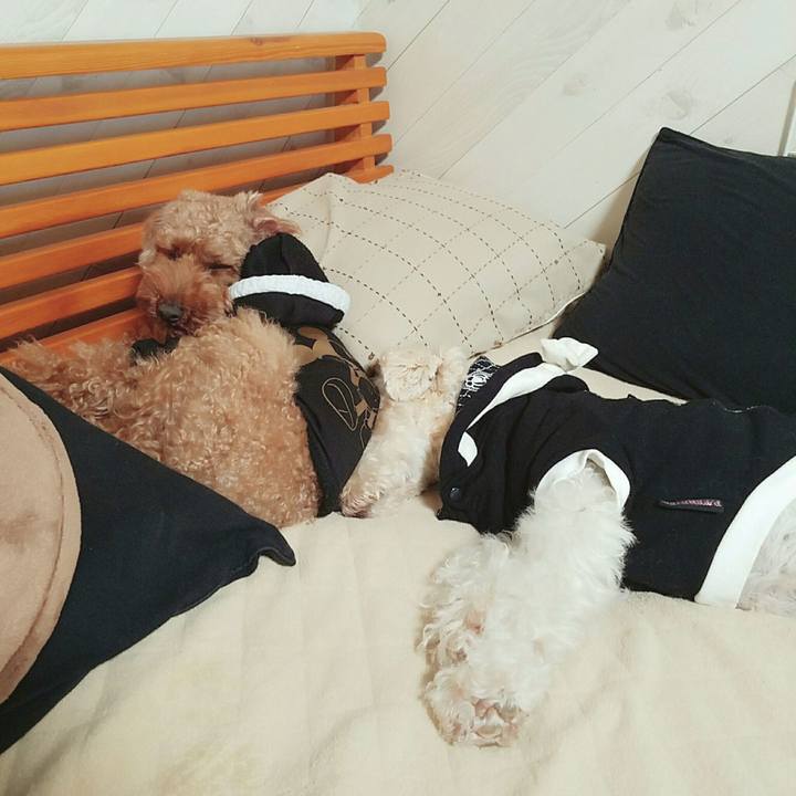 7eb7c600 21d8 4b90 bfd6 d84e53f26f5a