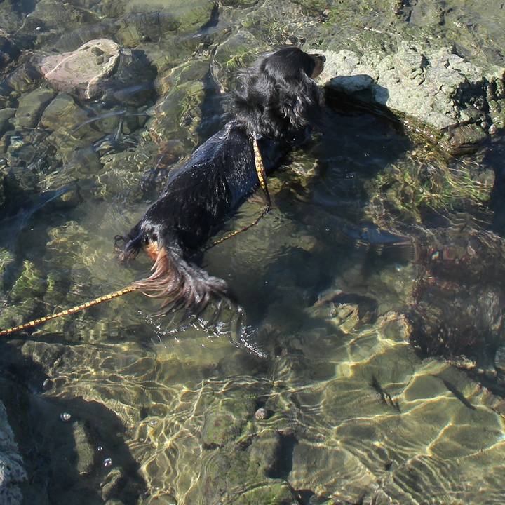 7eb83b3c e873 43f3 a10f 628e76c704e8