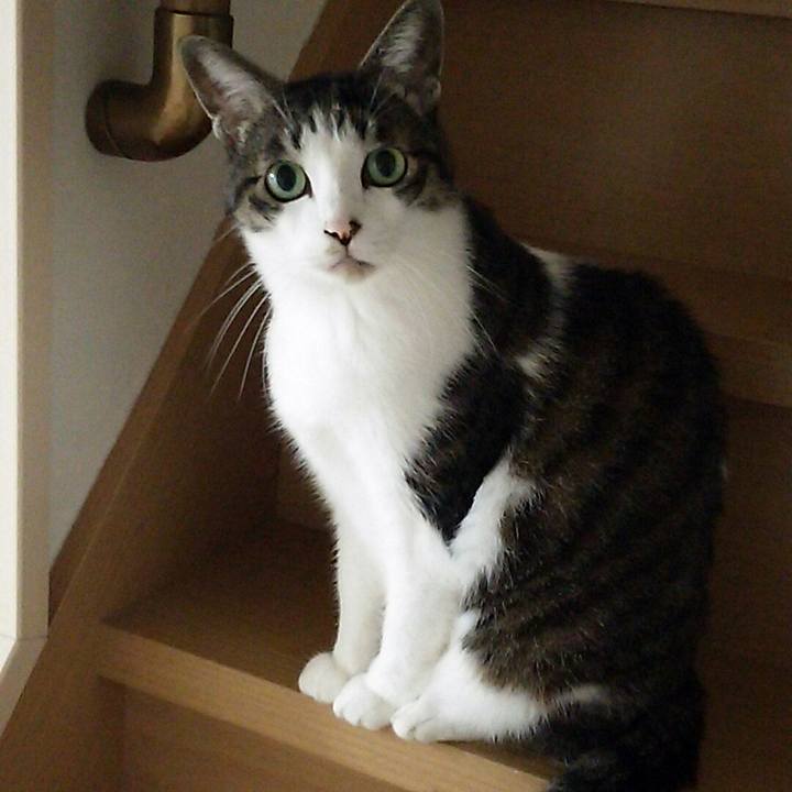 7eb8437b d28f 46b7 ae7d f42c43bc09c1