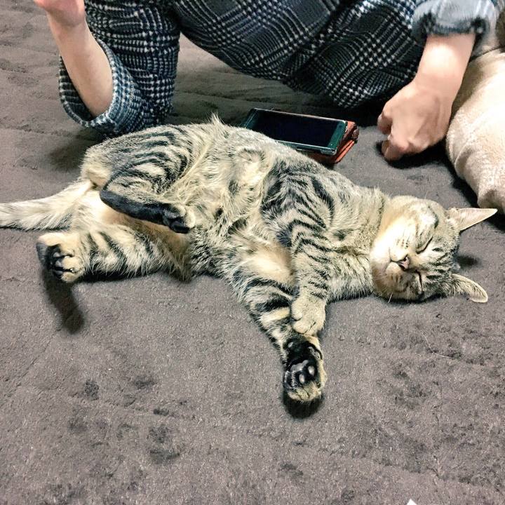 7eb85281 3a7e 4231 9eae 36430a5ab7f1