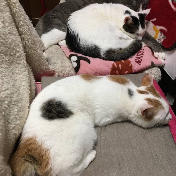 7eb8bbd1 72b2 4e80 9115 1b271f780047