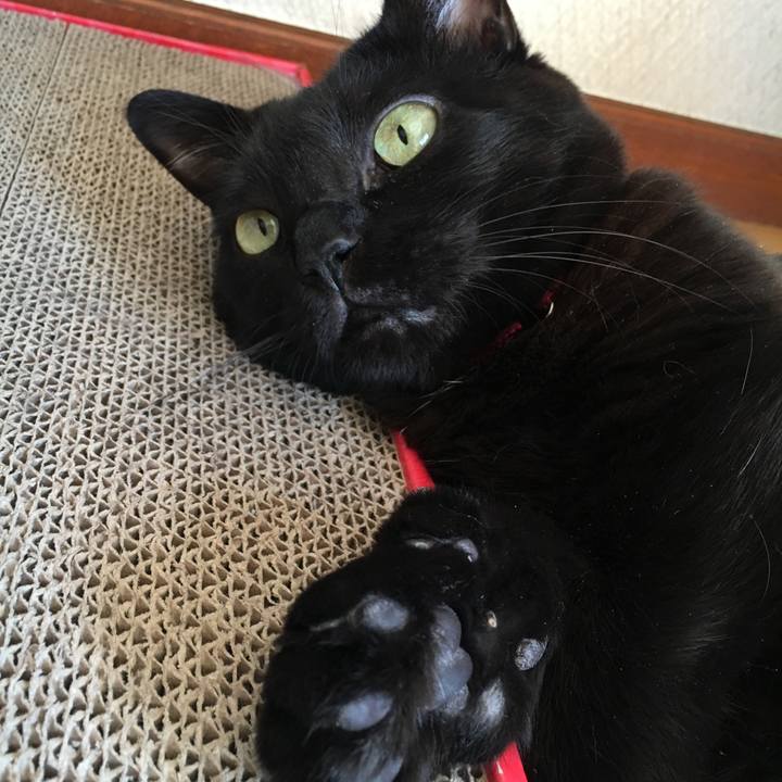 7eb935be 494f 4384 b770 22f8e030a797