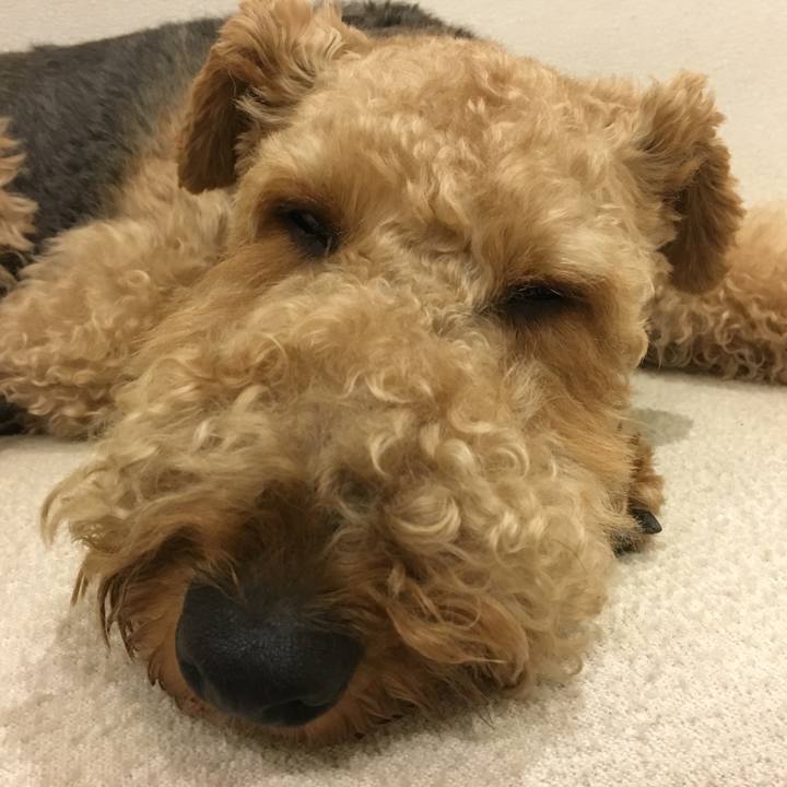 7eb9efdf ae19 4d06 afb8 7457e849f3b2