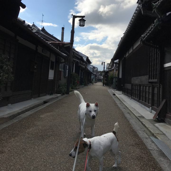 7ebaada5 8444 4744 8cf6 fb91310a2c8a