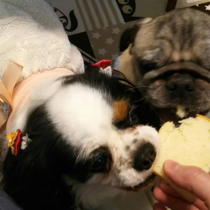 7ebac5a3 bac2 4da5 8adc 1834f8b7b8d4