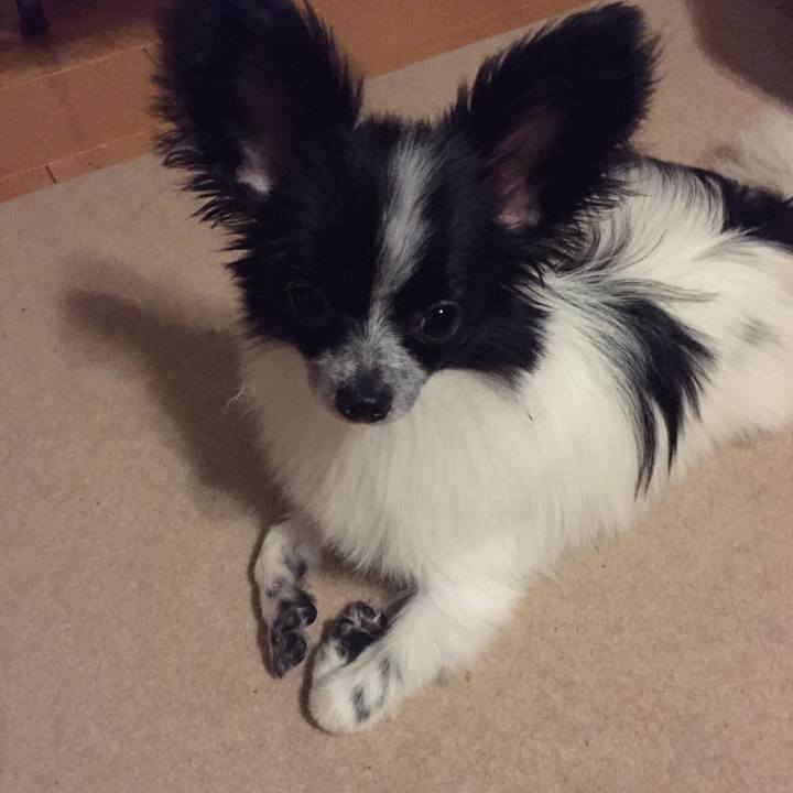 7ebb2dc7 16e5 4869 8f4a bd000f8b5cd3