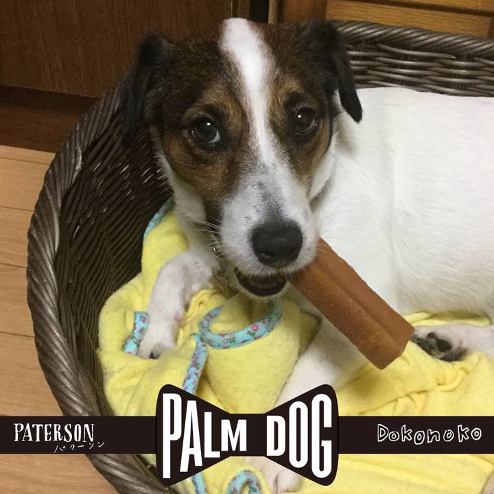 7ebb67d1 74ed 40bd 9334 75822ffd25d3