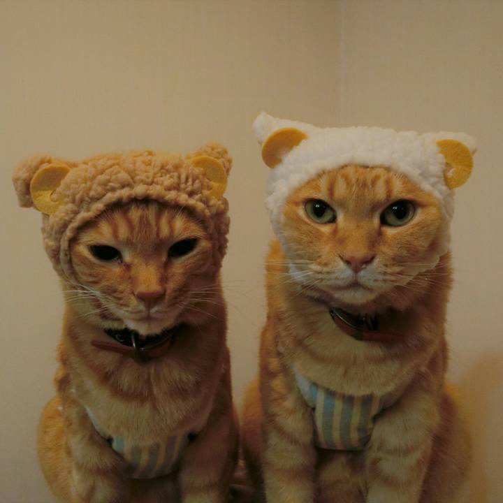 7ebc2ef9 5878 48b4 8dac a3b76c20b433